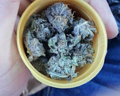 User uploaded image of Killer Grape