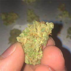 User uploaded image of Killer Queen