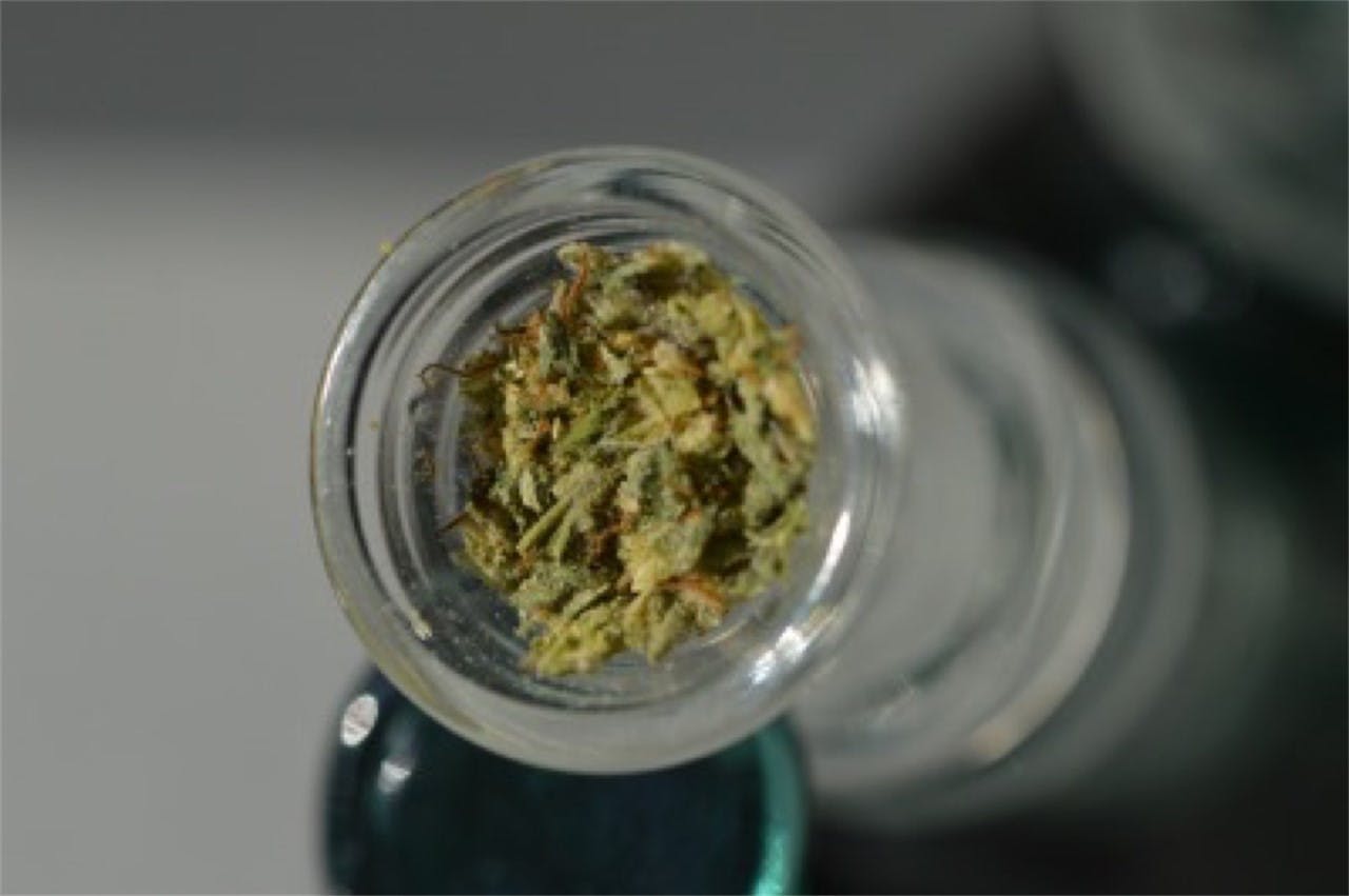 Killer Queen Weed Strain Information Leafly