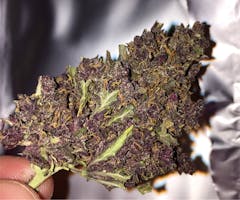 User uploaded image of Killing Fields