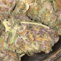 User uploaded image of Kimbo Kush