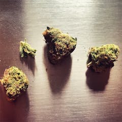 User uploaded image of Kimbo Kush