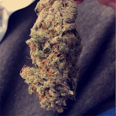 User uploaded image of Kimbo Kush