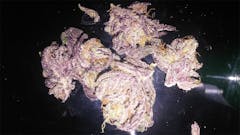 User uploaded image of Kimbo Kush