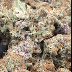 User uploaded image of Kimbo Kush