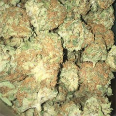 User uploaded image of Kimbo Kush