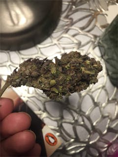 User uploaded image of Disco Glitter