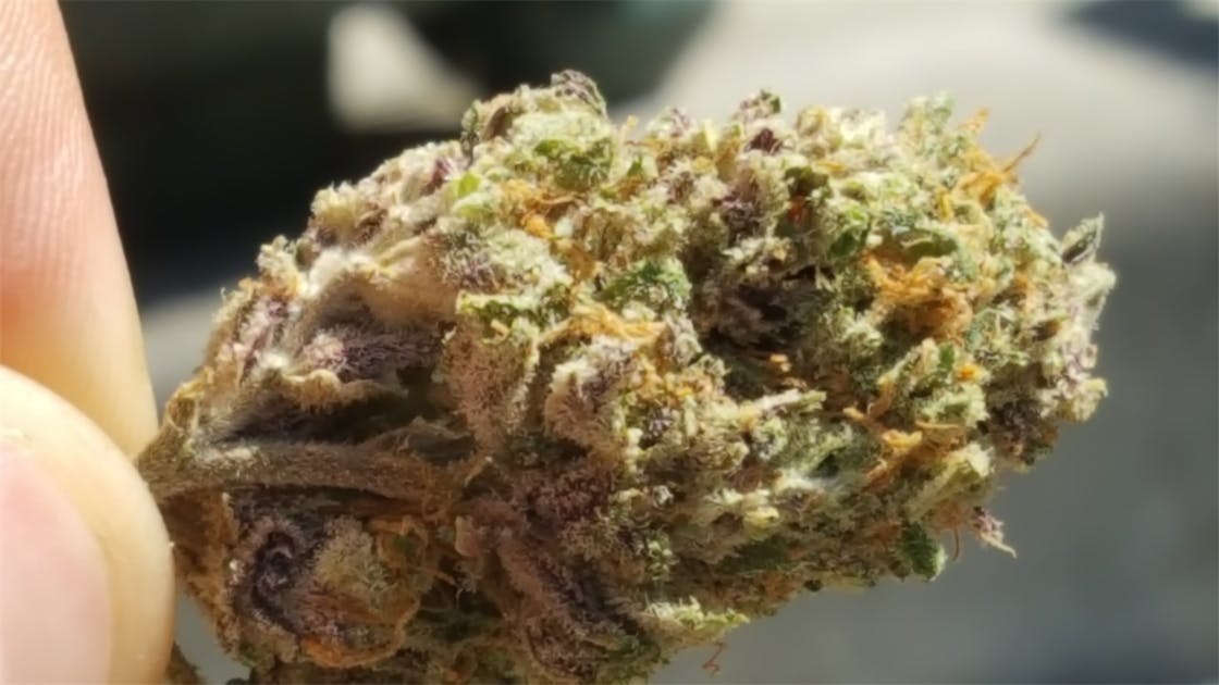 Photos of Disco Glitter Weed Strain Buds Leafly