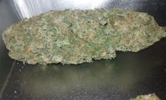 User uploaded image of King Kong