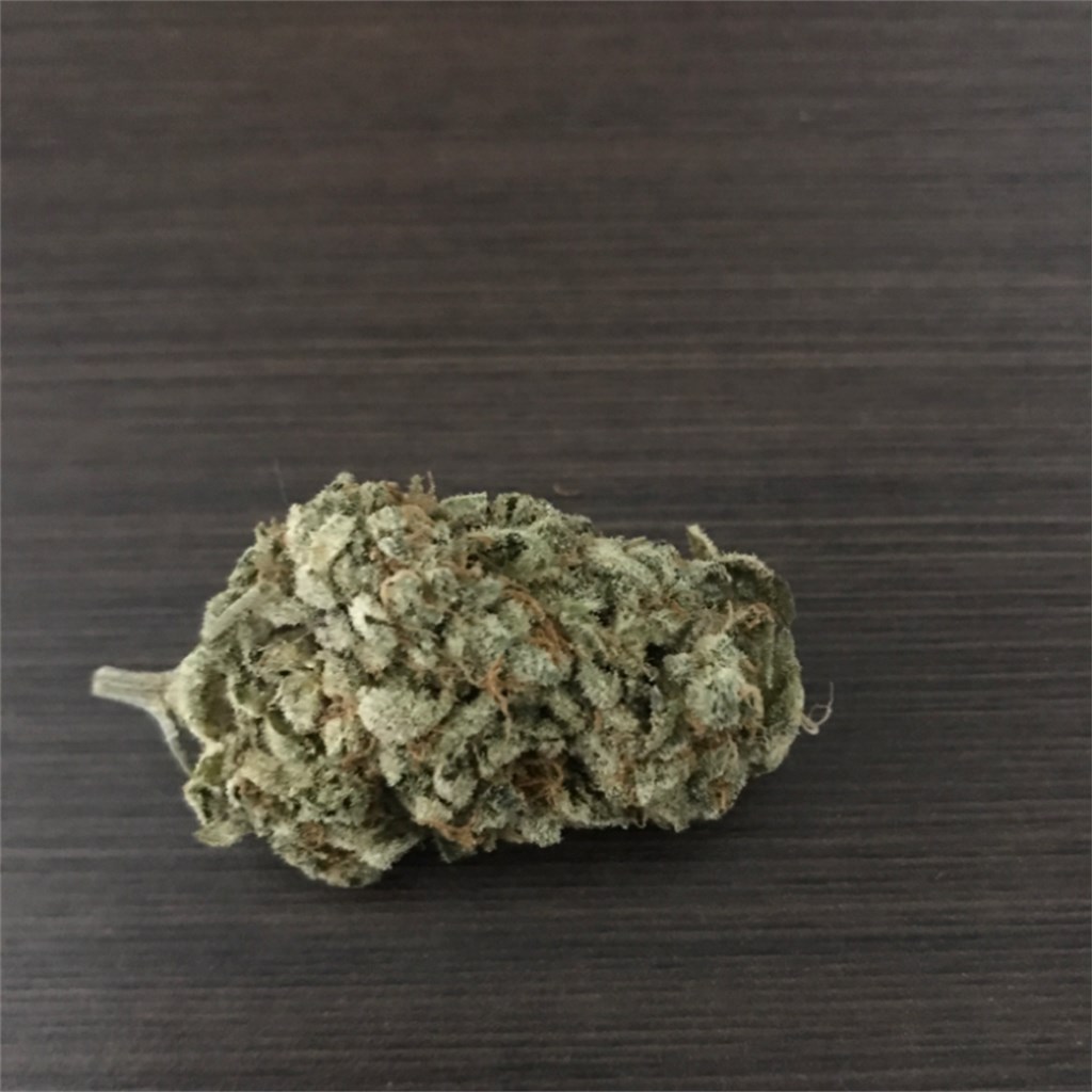 Louis XIII Strain - Hybrid Cannabis Video Review : Hytiva