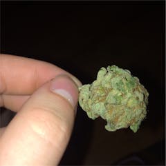 User uploaded image of King's Kush
