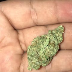 User uploaded image of King's Kush