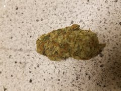 User uploaded image of Kiwiskunk