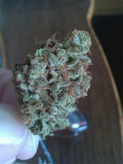 User uploaded image of Kobain Kush