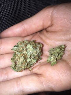 User uploaded image of Kobain Kush