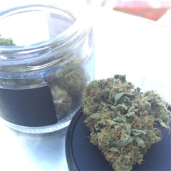 User uploaded image of Kong