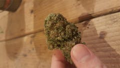 User uploaded image of Kong