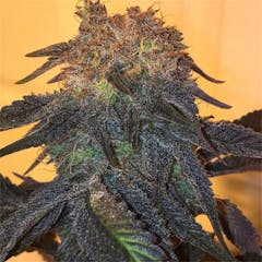 User uploaded image of Kool-Aid Smile