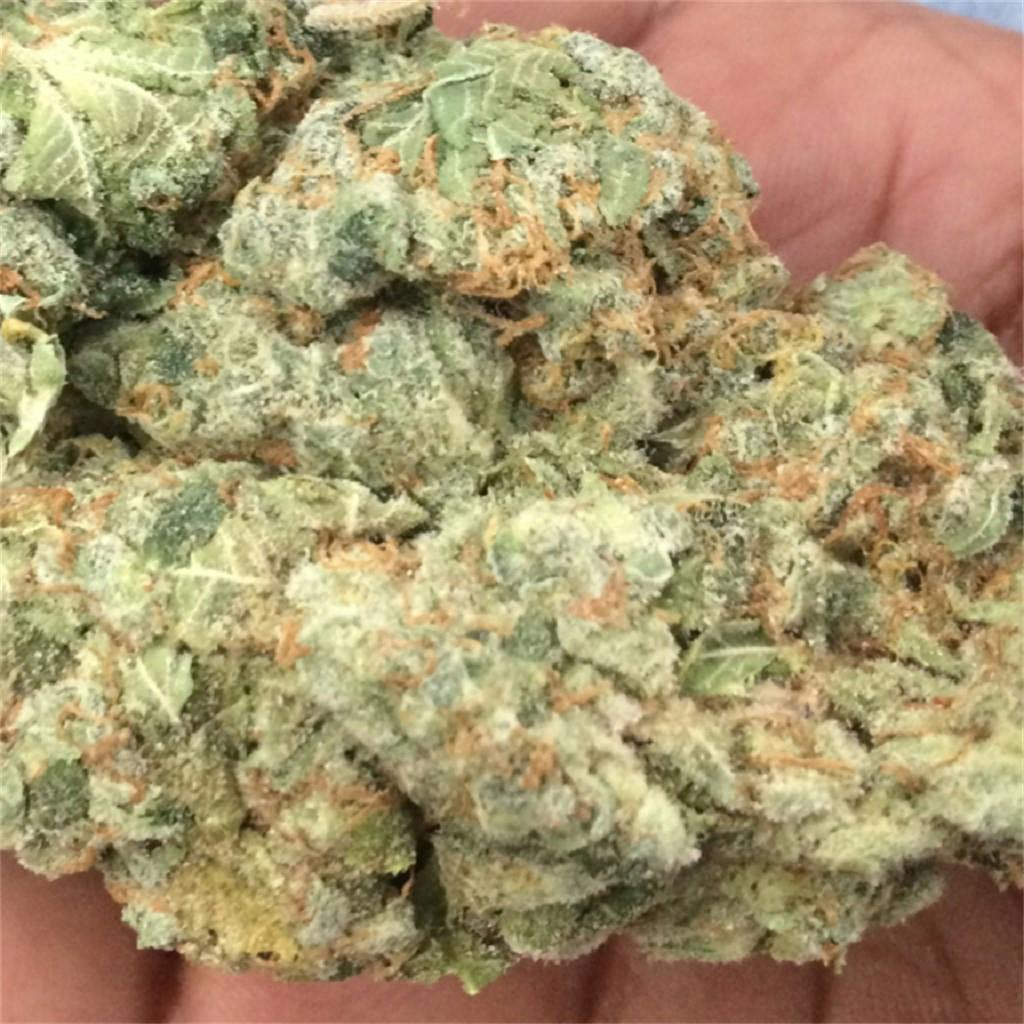 Photos of Kosher Kush Weed Strain Buds Leafly