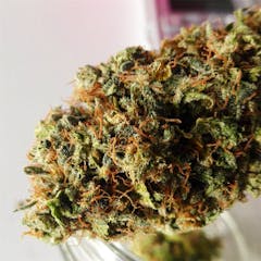 User uploaded image of Kosher Kush