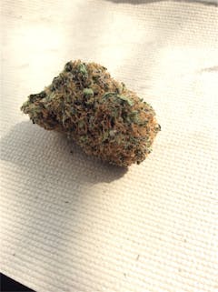 User uploaded image of Kraken