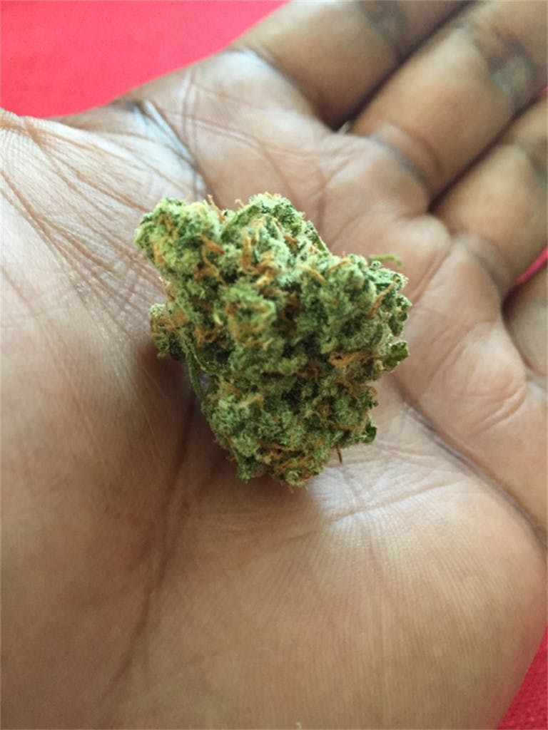 Kraken Aka Kracken Weed Strain Information Leafly