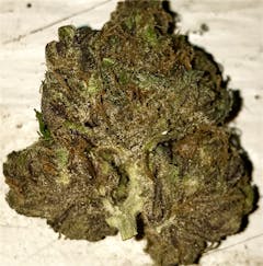 User uploaded image of KT Dawg