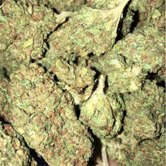 User uploaded image of Kuato