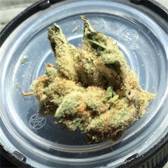 User uploaded image of Kuchi