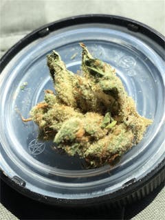 User uploaded image of Kuchi