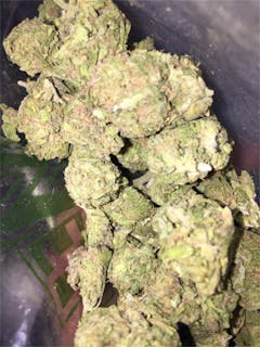 User uploaded image of Kuchi