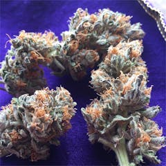 User uploaded image of Kurple Fantasy