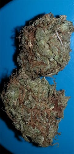 User uploaded image of Kushage
