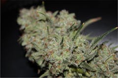 User uploaded image of Kushage