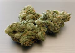 User uploaded image of Kushage