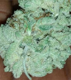 User uploaded image of Kushberry