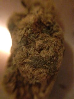 User uploaded image of Kushberry