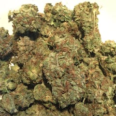 User uploaded image of L.A. Sunshine