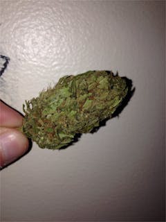 User uploaded image of L'Eagle Eagle