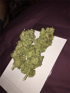 User uploaded image of LA Chocolat