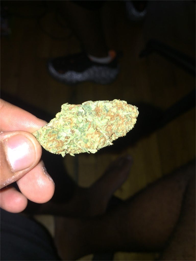 LA Chocolat aka LA Chocolope, LA Chocolate Weed Strain Information Leafly