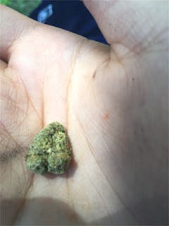 User uploaded image of LA Chocolat