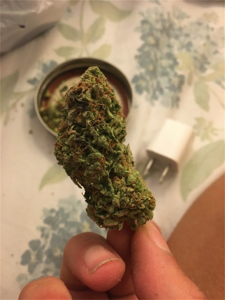 Photos of LA Chocolat Weed Strain Buds Leafly