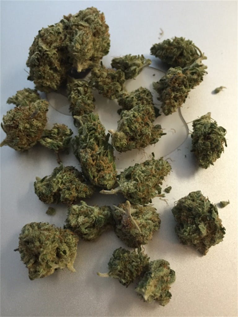 LA Chocolat aka LA Chocolope, LA Chocolate Weed Strain Information Leafly