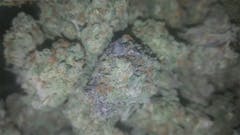 User uploaded image of LA Confidential
