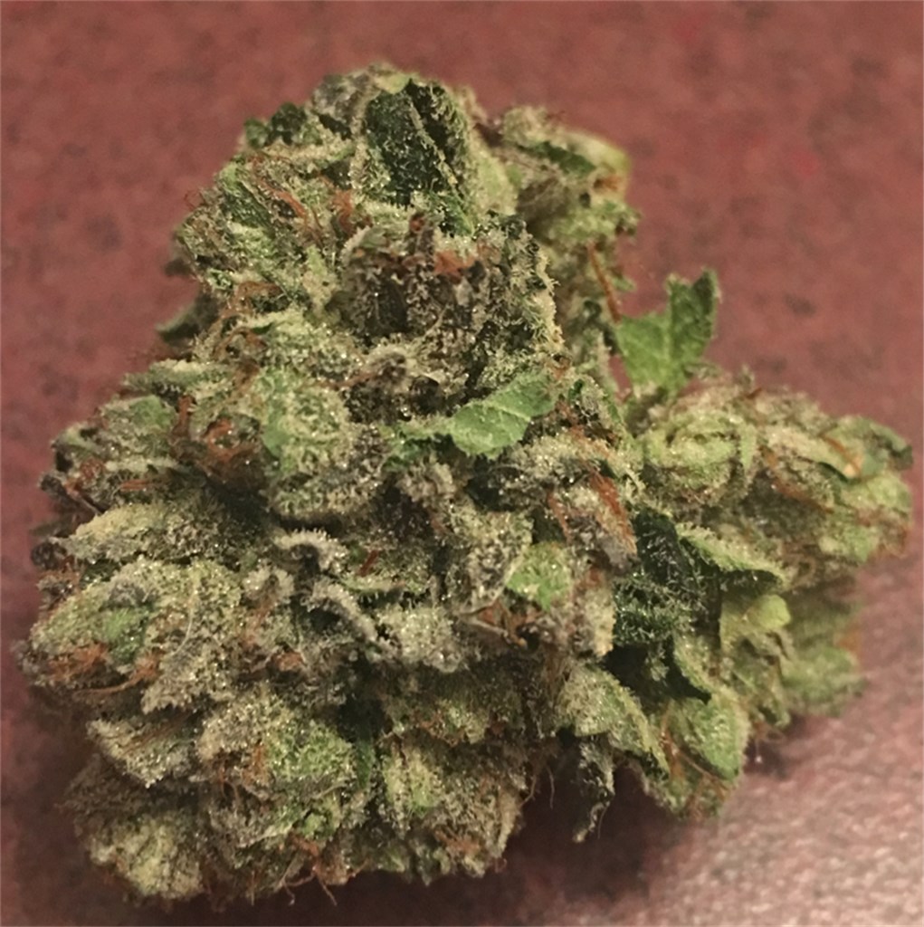 LA Confidential aka Confidential, Confidential OG Weed Strain Information |  Leafly