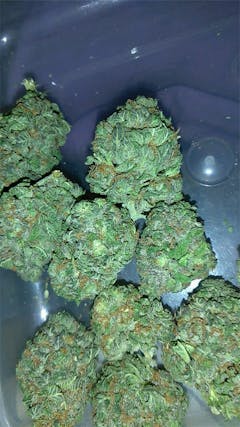 User uploaded image of LA Confidential