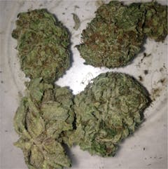 User uploaded image of LA Kush