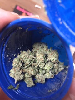 User uploaded image of LA Kush