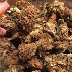 User uploaded image of LA Woman